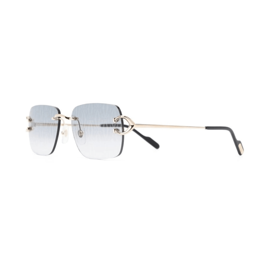Polychromatic Sunglasses