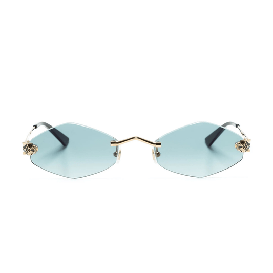 Polychromatic Sunglasses